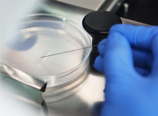Scientist with a lab sample